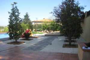 Necesito poner orden a mi jardín